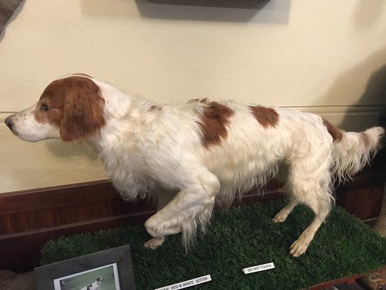 Museum of Natural History